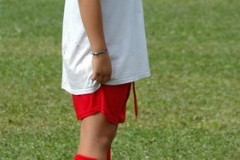 DSC_2386